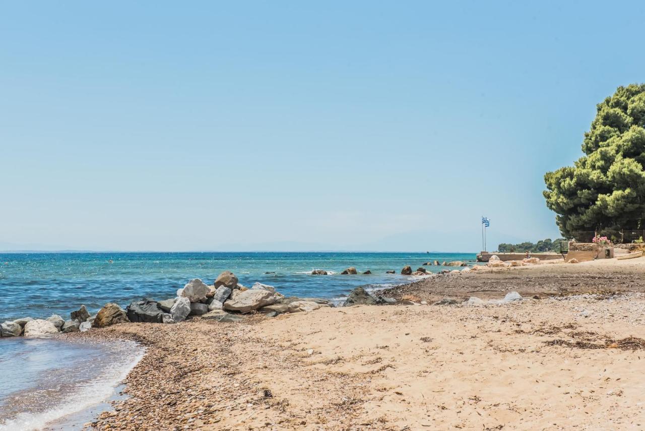 מלון מטהמורפוסי Citro By The Sea מראה חיצוני תמונה