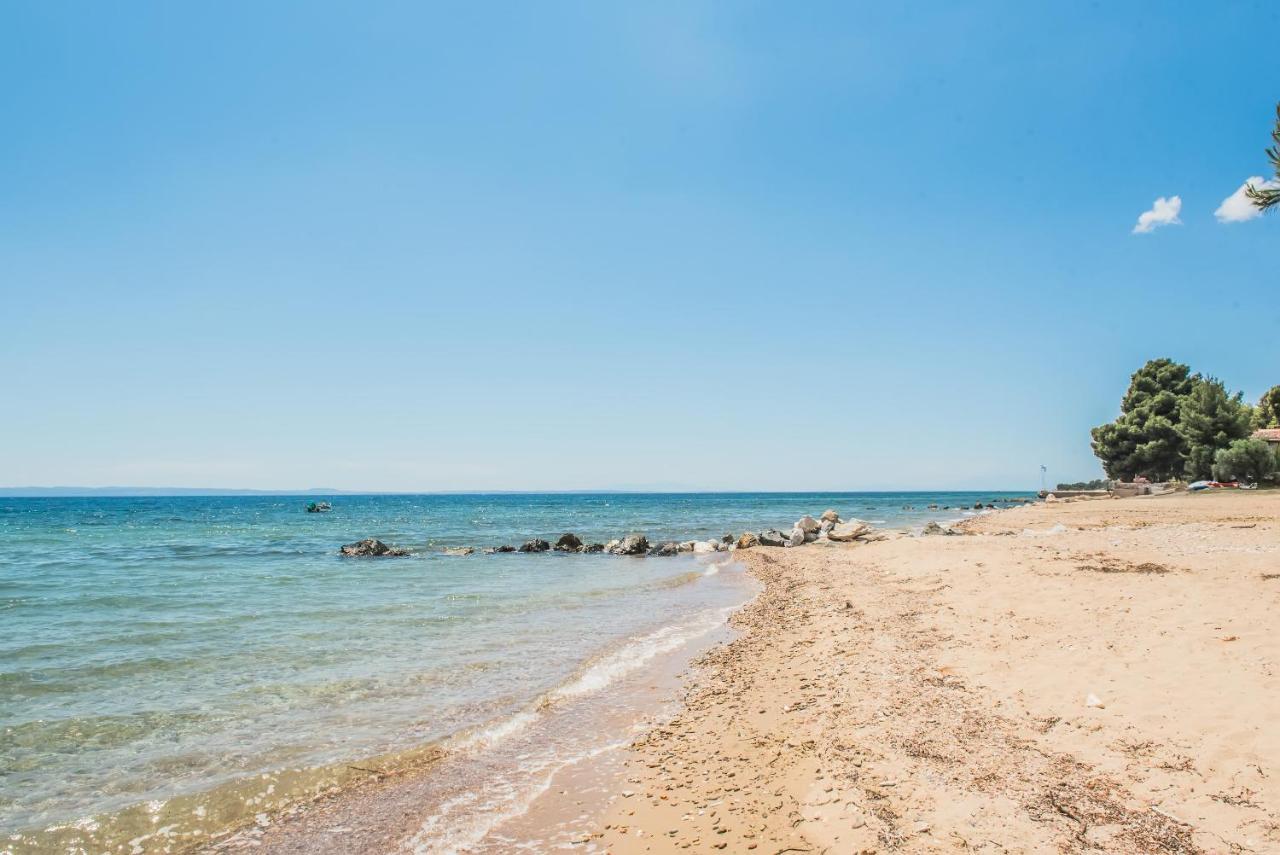מלון מטהמורפוסי Citro By The Sea מראה חיצוני תמונה