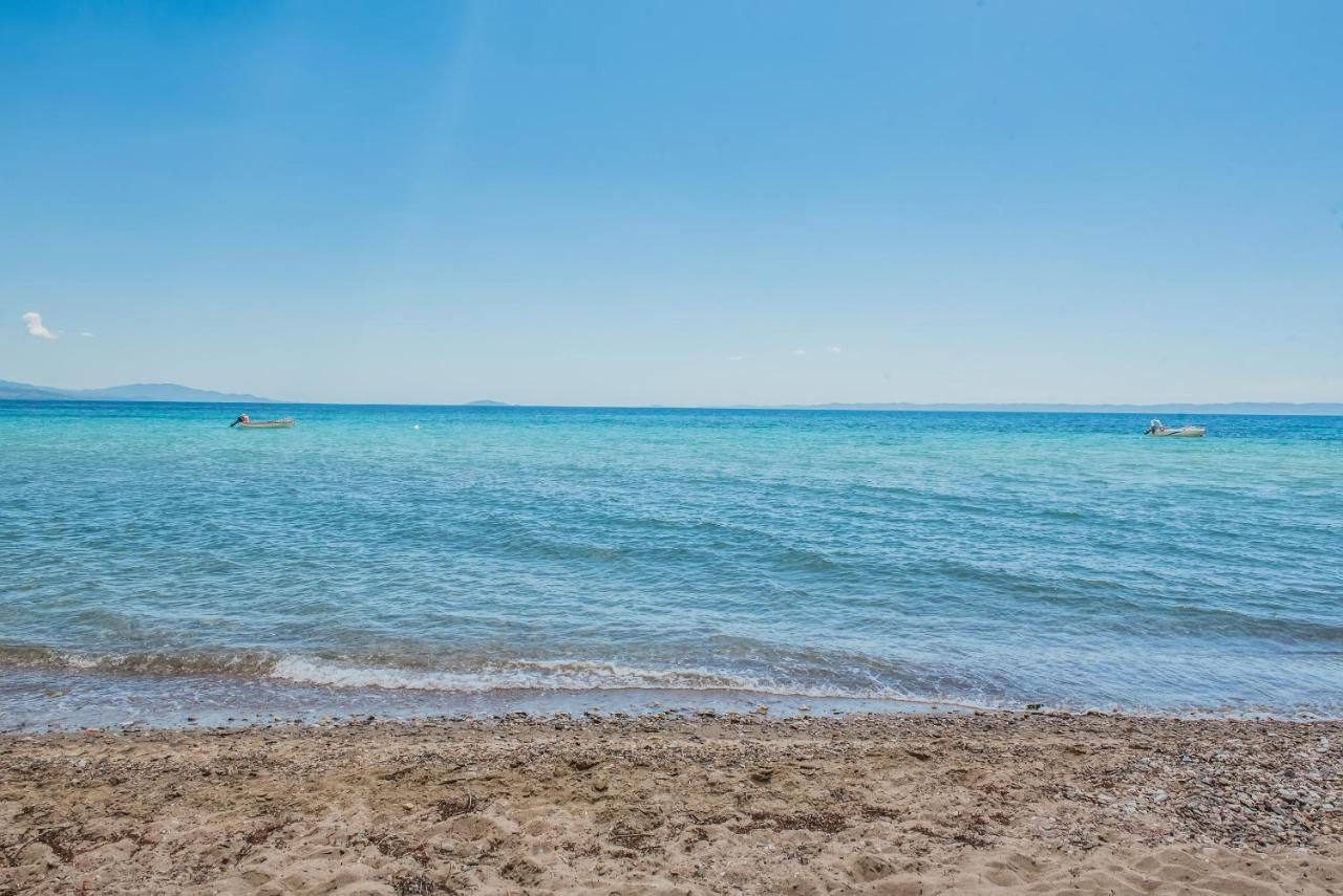 מלון מטהמורפוסי Citro By The Sea מראה חיצוני תמונה