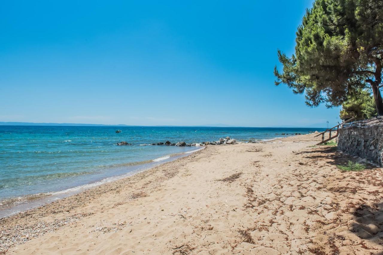 מלון מטהמורפוסי Citro By The Sea מראה חיצוני תמונה